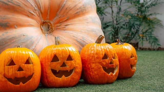 🎃ハロウィンの季節がやってきた🎃