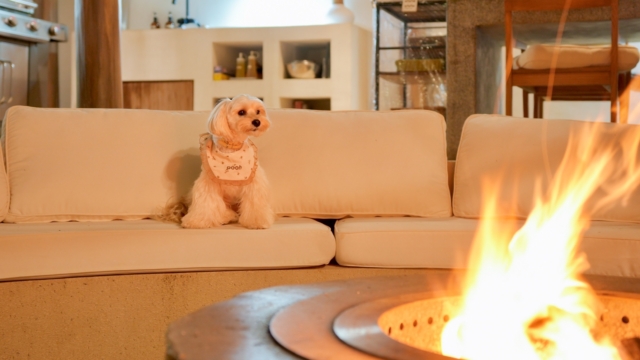 🍁【秋冬グランピングのご案内】🐾❄️