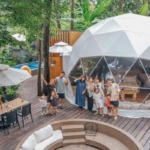 ジャングルウィズイン