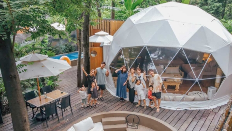 ジャングルウィズイン